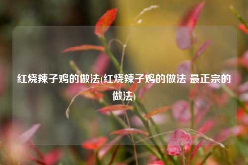 红烧辣子鸡的做法(红烧辣子鸡的做法 最正宗的做法)