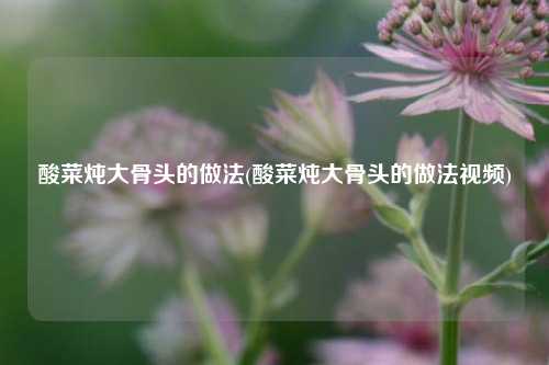 酸菜炖大骨头的做法(酸菜炖大骨头的做法视频)