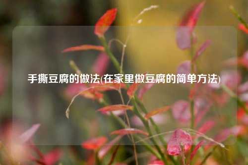 手撕豆腐的做法(在家里做豆腐的简单方法)