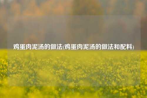 鸡蛋肉泥汤的做法(鸡蛋肉泥汤的做法和配料)