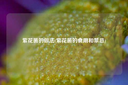 紫花菌的做法(紫花菌的食用和禁忌)