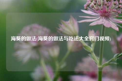 海葵的做法(海葵的做法与吃法大全窍门视频)