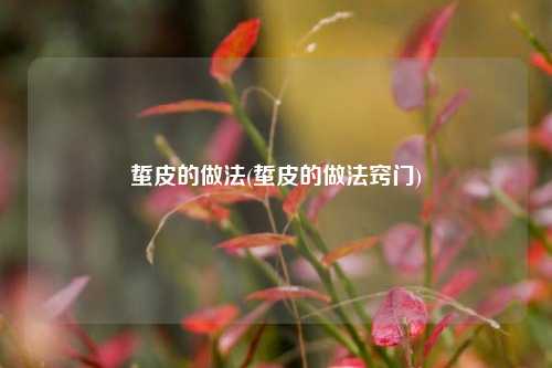 蜇皮的做法(蜇皮的做法窍门)