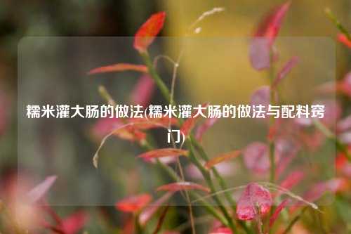 糯米灌大肠的做法(糯米灌大肠的做法与配料窍门)