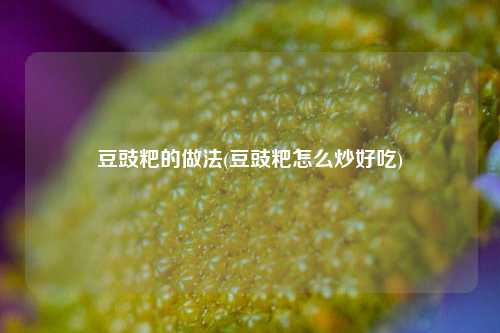 豆豉粑的做法(豆豉粑怎么炒好吃)
