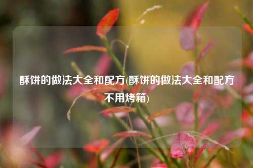 酥饼的做法大全和配方(酥饼的做法大全和配方不用烤箱)