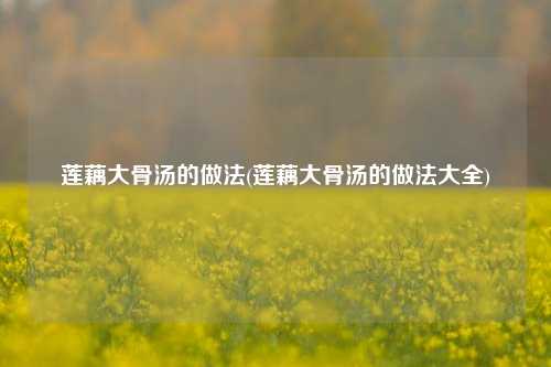 莲藕大骨汤的做法(莲藕大骨汤的做法大全)