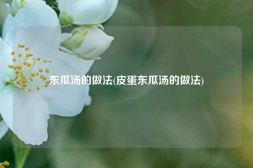 东瓜汤的做法(皮蛋东瓜汤的做法)