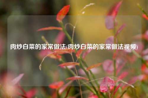 肉炒白菜的家常做法(肉炒白菜的家常做法视频)