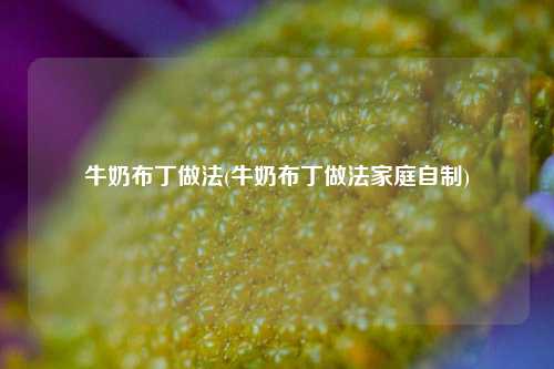 牛奶布丁做法(牛奶布丁做法家庭自制)