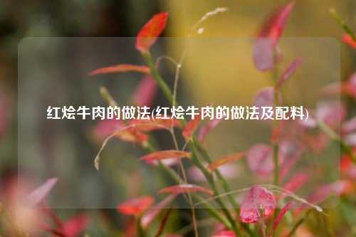 红烩牛肉的做法(红烩牛肉的做法及配料)