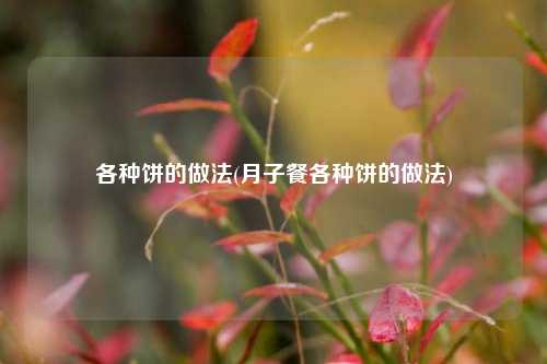 各种饼的做法(月子餐各种饼的做法)