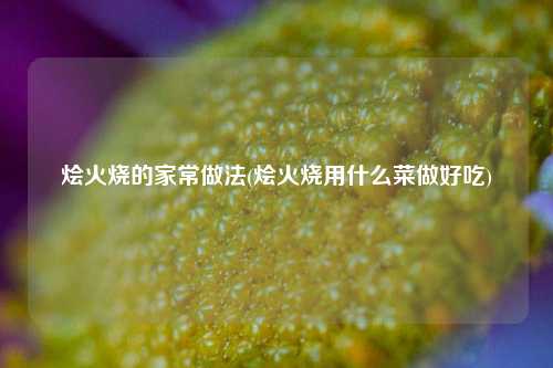 烩火烧的家常做法(烩火烧用什么菜做好吃)