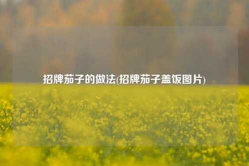 招牌茄子的做法(招牌茄子盖饭图片)